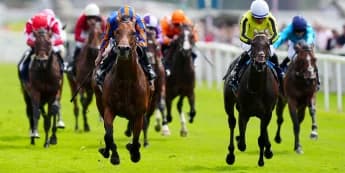 Can Wimbledon Hawkeye Seize the Moment at Newmarket? Trainer James Owen Weighs In