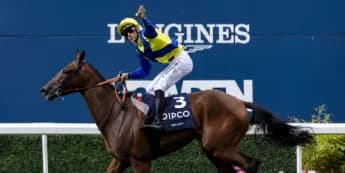 Goliath Triumphs in Paris, Targets Japan Cup