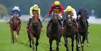 Sunway set to move up in distance after Chantilly effort