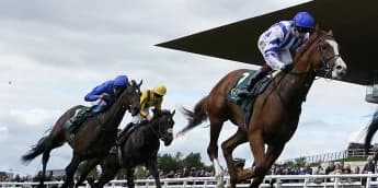 Seagulls Eleven Eyes Group One Comeback After Courageous Curragh Run