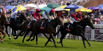 The Strikin Viking aiming to hit Gimcrack target