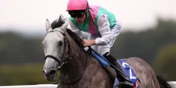 Field Of Gold camp considering next move for ‘exciting colt’