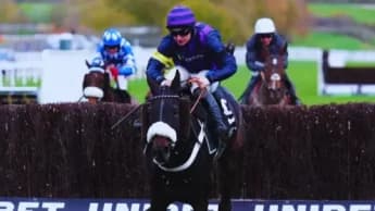 Tragic Losses at Cheltenham: Three Horses Die in Races