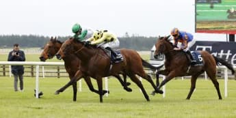 St James’s Palace poised to be crowning glory for clash of the Classic winners