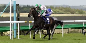 Hills hopes to win big at Kentucky Downs once more