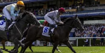 Dylan Browne McMonagle Rides Simmering in Prix Marcel Boussac