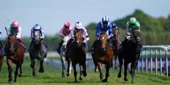 Pogo primed to go close in Haydock repeat bid