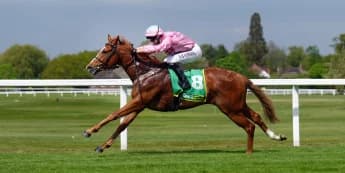 Live In The Dream back on right track for Nunthorpe repeat