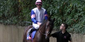 Top-level assignments on the radar for Matauri Bay