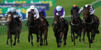 Gheest glory would be well deserved for Shouldvebeenaring