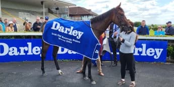 Everlasting back to winning ways in Listed company at Navan