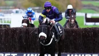 Tragedy Strikes Cheltenham as Three Horses Lose Their Lives