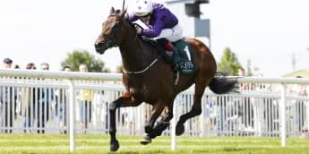 Bucanero Fuerte Eyes Ascot Revival in Champions Sprint Stakes