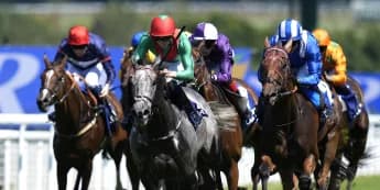 “The Grey’s Last Stand: Johnny Murtagh’s Take Heart Eyes Curragh Redemption”