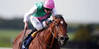 Nostrum set to bypass Haydock in favour of Newbury run