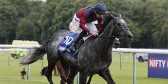 Haggas eyeing another successful French foray with Tiber Flow