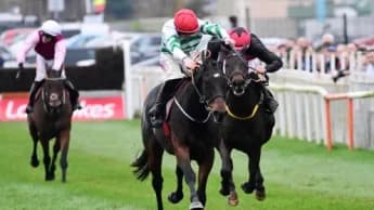 "Auguste Rodin Faces Goliath in Japan Cup Showdown"