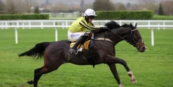 Burdett Road Eyes Cheltenham Glory in Greatwood Hurdle Return