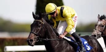 "Tom Marquand’s Day of Reckoning: Will Maljoom Shine in Ireland?"