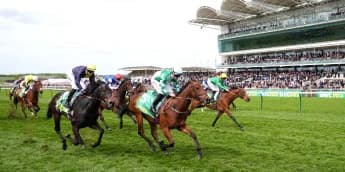 Woodhay Wonder bidding to plunder another big prize