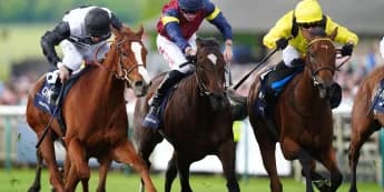 Ramatuelle Set for Foret Challenge