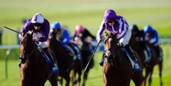 Merrily Shocks in Oh So Sharp Stakes at Newmarket