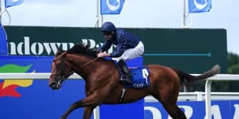 City Of Troy to face stellar line-up in Juddmonte International