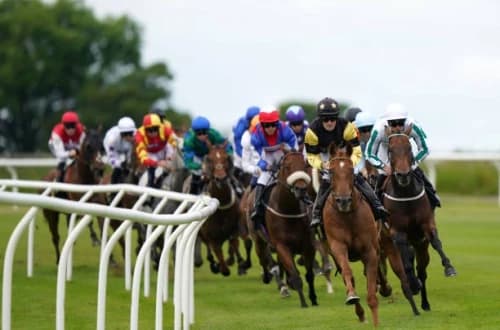 Carlisle Mixed Racecourse: A Premier Racing Venue