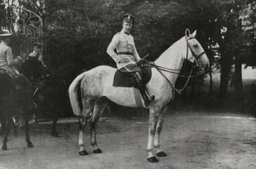 Bold Ruler: An Icon of Thoroughbred Racing Legacy