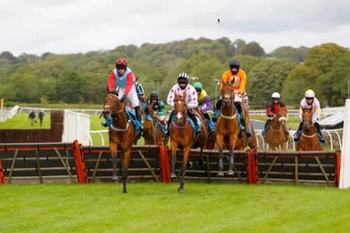 Experience the Charm of Cartmel Racecourse