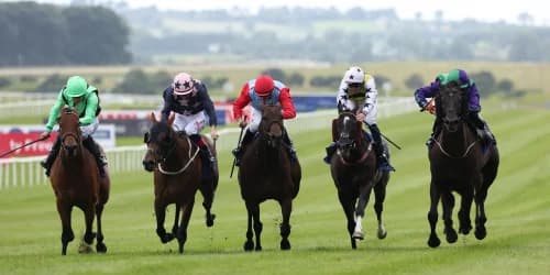 My Mate Alfie proves fastest in Curragh Dash