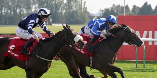 Rising Star Sky Majesty Defies Experience Gap to Secure Victory at Ayr