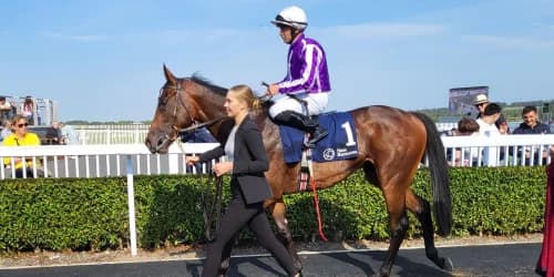 100-1 Carla Ridge Stuns the Field as Antelope Canyon Stakes His Claim for Future Glory