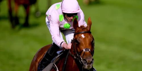 Vauban and Absurde Lead European Hopes for Melbourne Cup