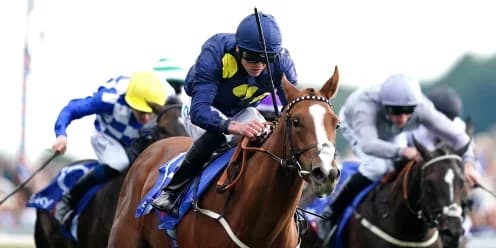 Swingalong's Future in the Balance: One More Season or Retirement to Stud?