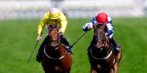 Nicholls eyeing six-furlong switch for Maw Lam