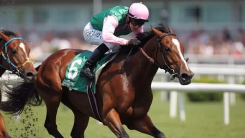 Wathnan Racing Eyes Breeders' Cup Classic with Subsanador