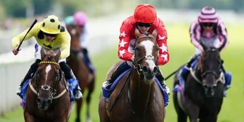 Spirit Dancer is scheduled for a Newmarket run before to her Middle East adventure.