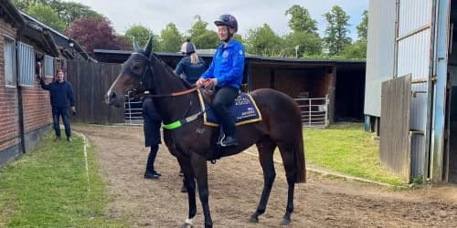 Henry Dwyer savouring Royal Ascot experience with Asfoora