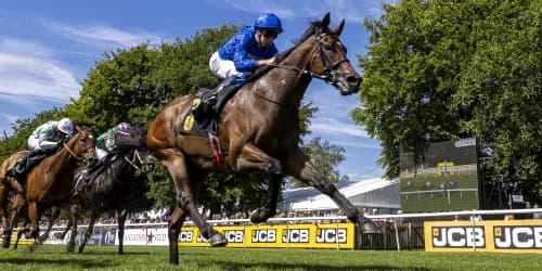 Noble Dynasty continues on upward curve at Newmarket