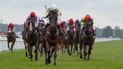 Queen Of The Pride Aims for Group One Glory in Yorkshire Oaks