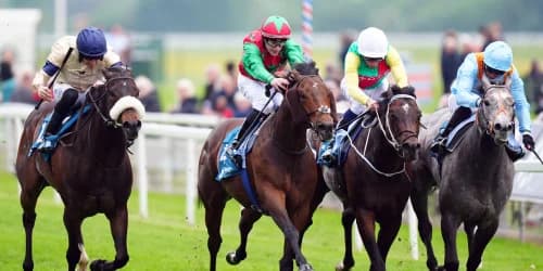 Mill Stream features in confirmations for Saturday feature