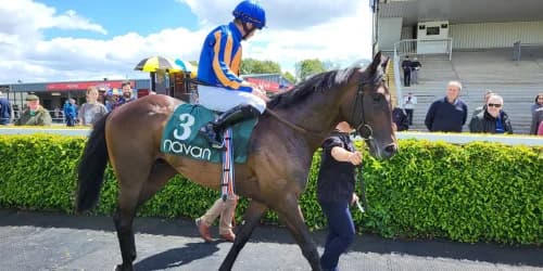 Celtic Chieftain puts his name into the Ascot mix for O’Brien