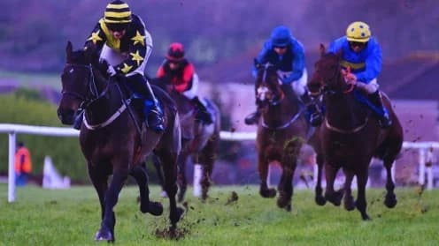 Mullins and Flanagan Shine at Tramore Racing Event