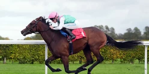 Heavy Ground May Keep Detain from Doncaster Race