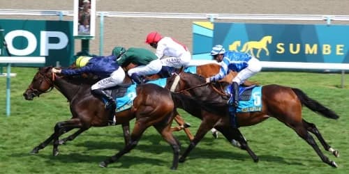 Fabre Confident in Mqse De Sevigne's Arc Prospects Over Extended Trip