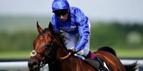 Bin Suroor confident of bright future for Wild Tiger