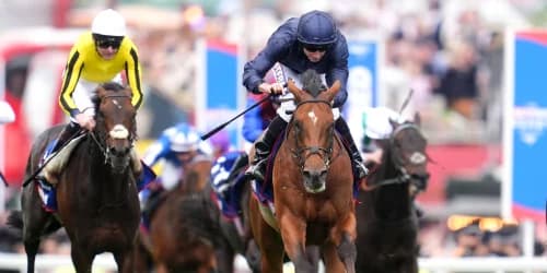 Bookmakers ‘left counting the cost’ of more Derby magic from O’Brien