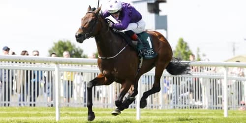 Bucanero Fuerte Eyes Six-Furlong Redemption at Ascot's Champions Sprint