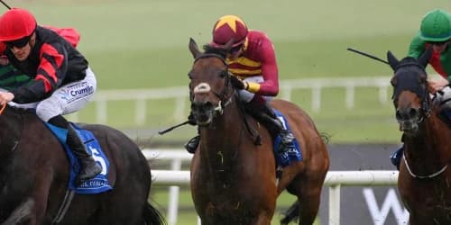 Rogue Millennium on course to defend Duke of Cambridge crown